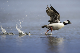 引っ越しの退去立ち会いの流れ！立つ鳥跡を濁さずな入居者を目指そう