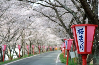 3月・4月で引っ越し料金が安い日はいつ？