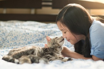 犬や猫などペットと一緒の引っ越しをする際の手順と注意点