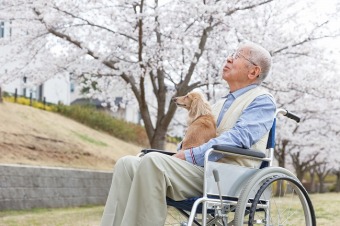 高齢者の引っ越し、無理をしないための7つのポイント