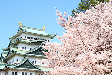 名古屋弁がかわいい！よく使う言葉と推し活に役立つ名古屋弁をまとめました