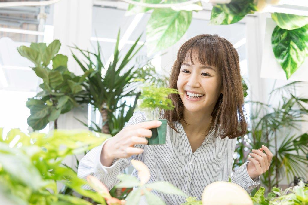 風水的に良い観葉植物おすすめ～トイレ・寝室・玄関・テレビ横～の画像08