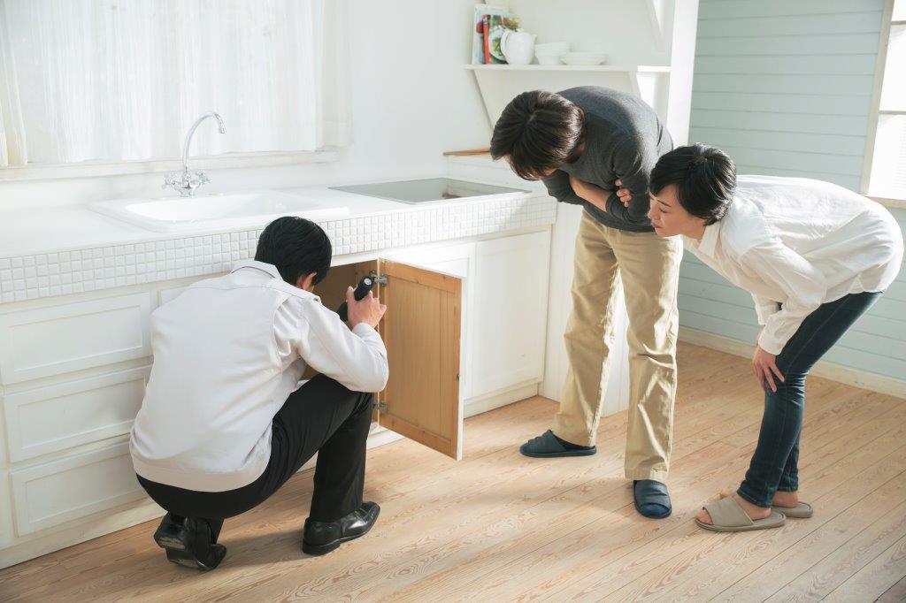 ゴキブリの侵入対策や駆除をプロの業者に頼むという手もある