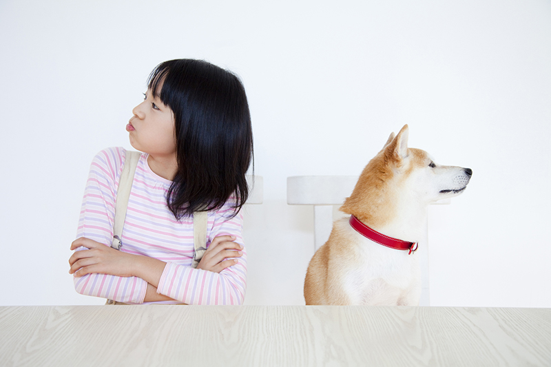 室内犬の人気ランキング・飼いやすい犬種は？必要な準備としつけの画像08