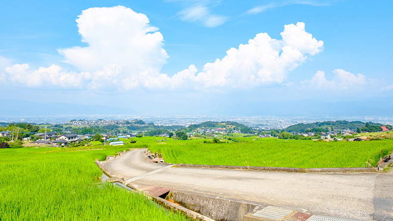 南アルプス市への移住者に訊いた！南アルプス移住の魅力と注意すべきポイントの画像02