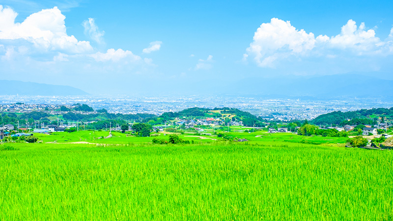 南アルプス市への移住者に訊いた！南アルプス移住の魅力と注意すべきポイントの画像07