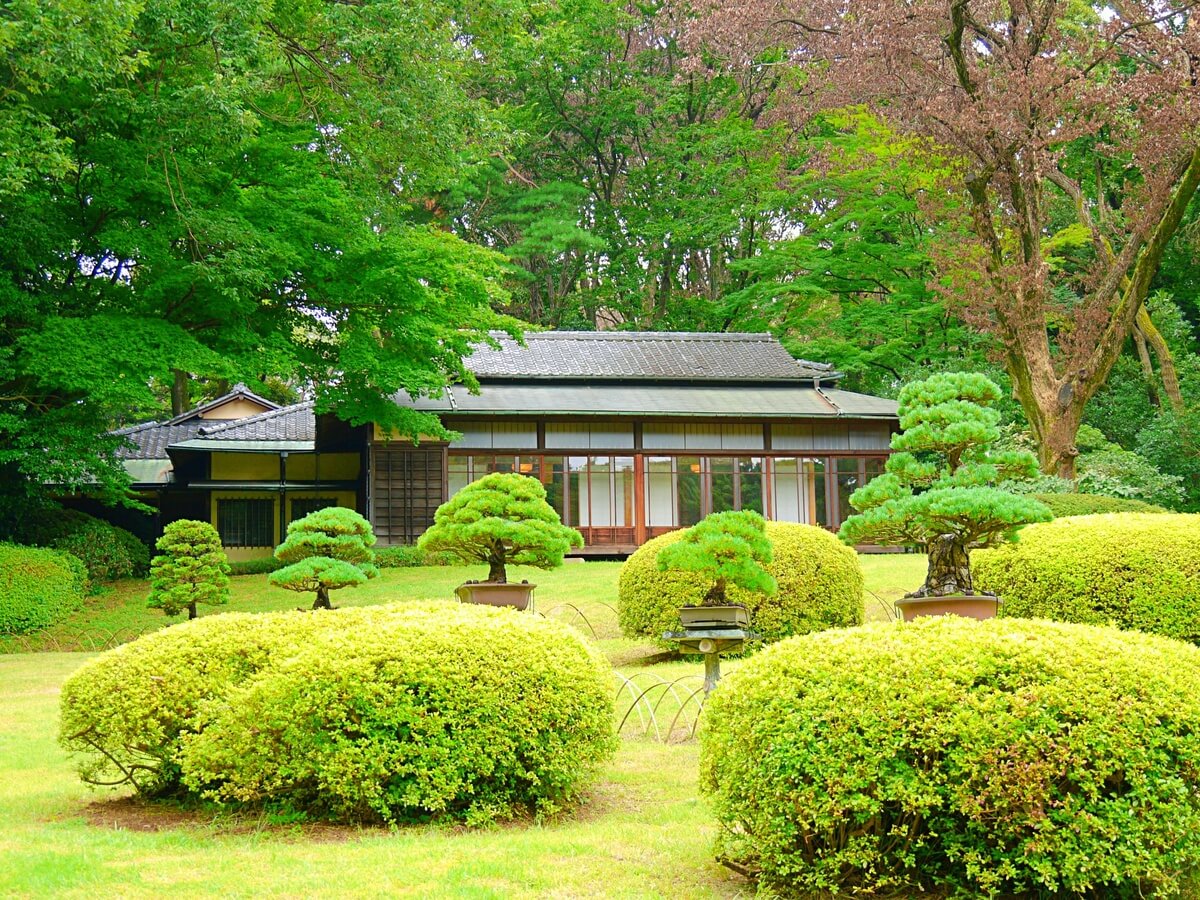 数寄屋（すきや）造りとは？書院造との違いや特徴・注文住宅で建てる際のポイントを紹介