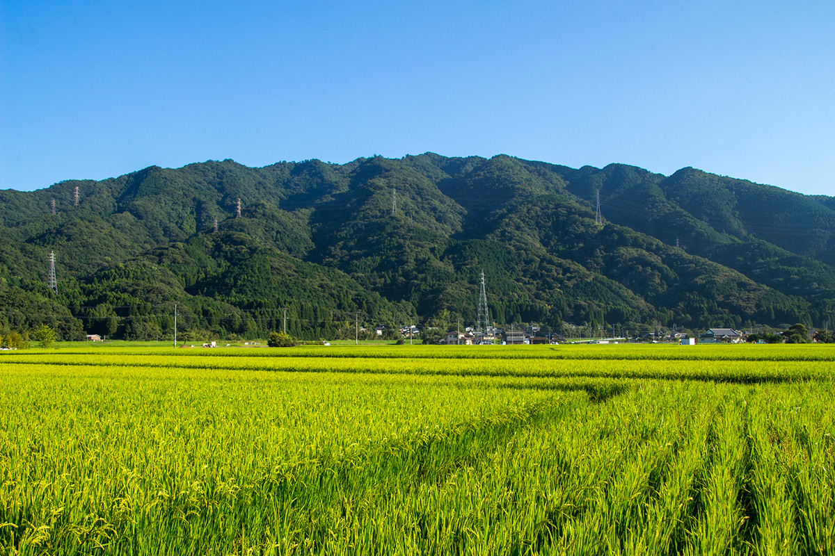 用途地域とは？13種類の一覧や調べ方、無指定についてわかりやすく解説の画像13