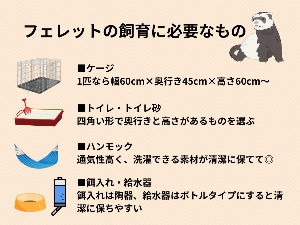 フェレットは賃貸物件でも飼える？ペットとしての魅力や飼い方・臭い対策解説の画像001