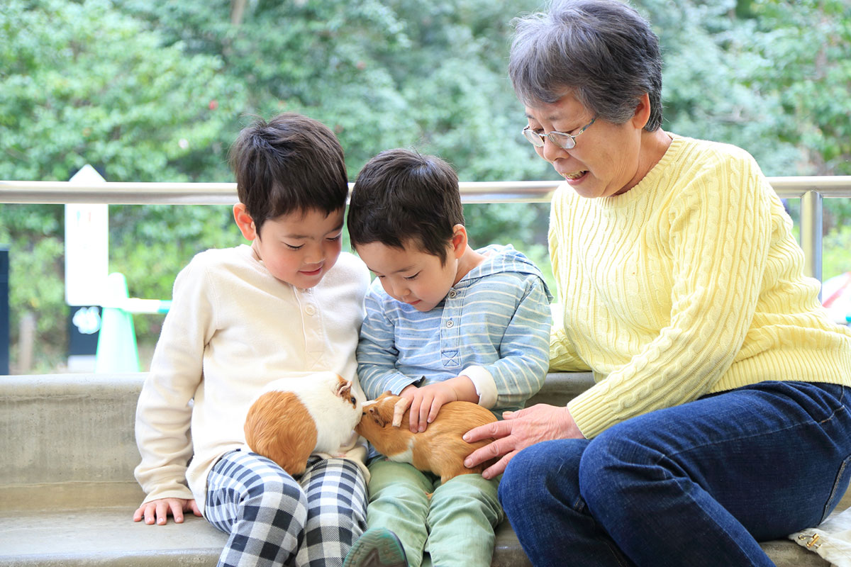 モルモットの飼い方は？種類や性格、寿命や値段相場についても徹底解説！の画像09