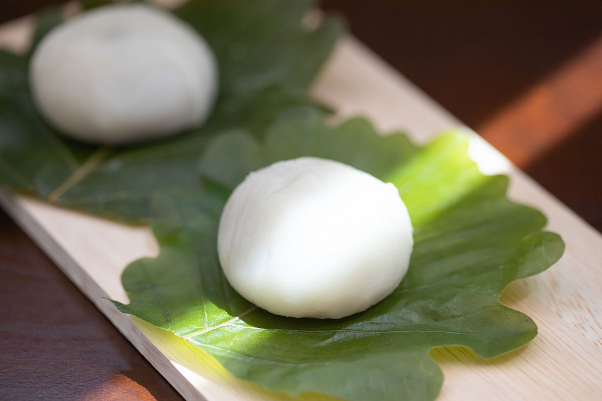 柏餅の葉っぱは食べられるの？葉の種類や意味、どこに売ってるかについても解説！の画像09