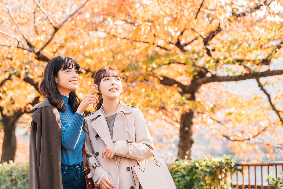 秋といえば何をイメージする？食べ物や花、行事やおすすめの過ごし方ランキングを紹介！の画像01