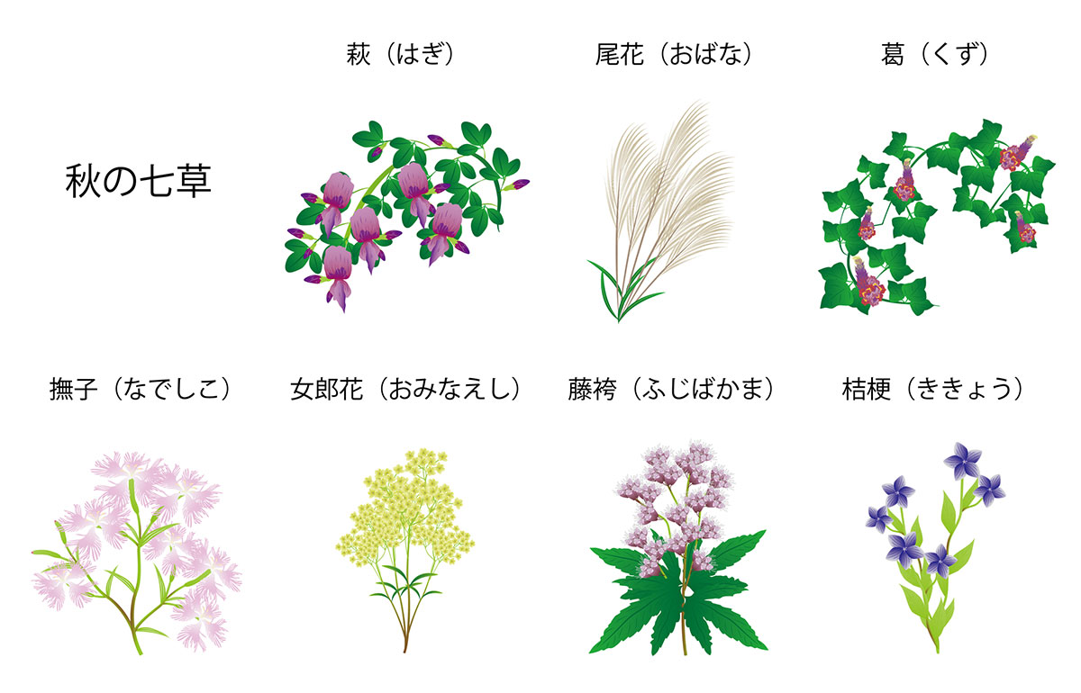 秋といえば何をイメージする？食べ物や花、行事やおすすめの過ごし方ランキングを紹介！の画像16