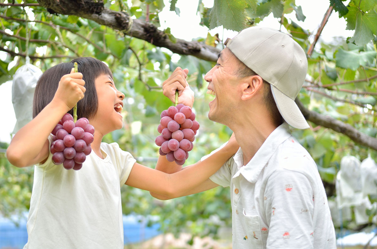 秋といえば何をイメージする？食べ物や花、行事やおすすめの過ごし方ランキングを紹介！の画像29