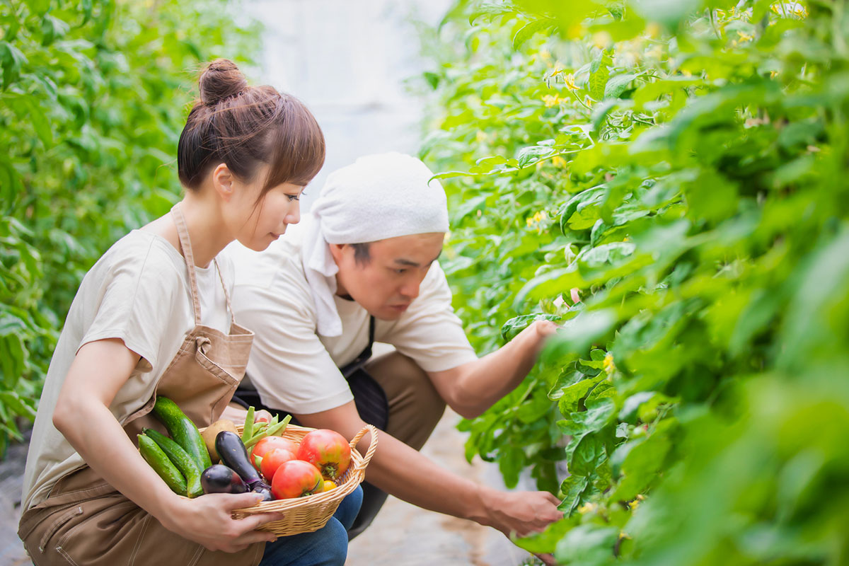 夏野菜10選！夏に美味しい野菜の種類と栄養素、定番のおすすめレシピも！の画像13