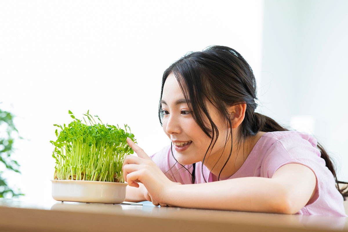 冬に旬を迎える冬野菜一覧＆レシピ12選！家庭菜園におすすめの野菜も紹介の画像15