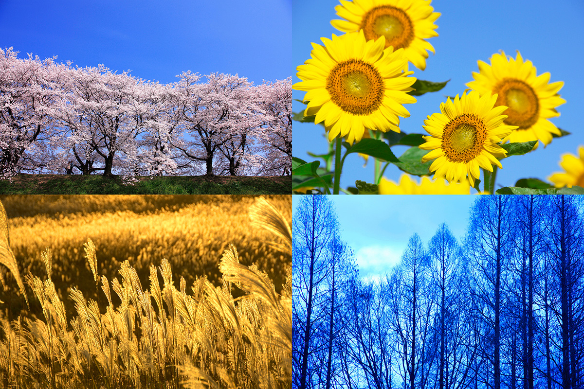 外壁塗装時期(季節・年数)はいつがいい?塗装を長持ちさせるコツもの画像04