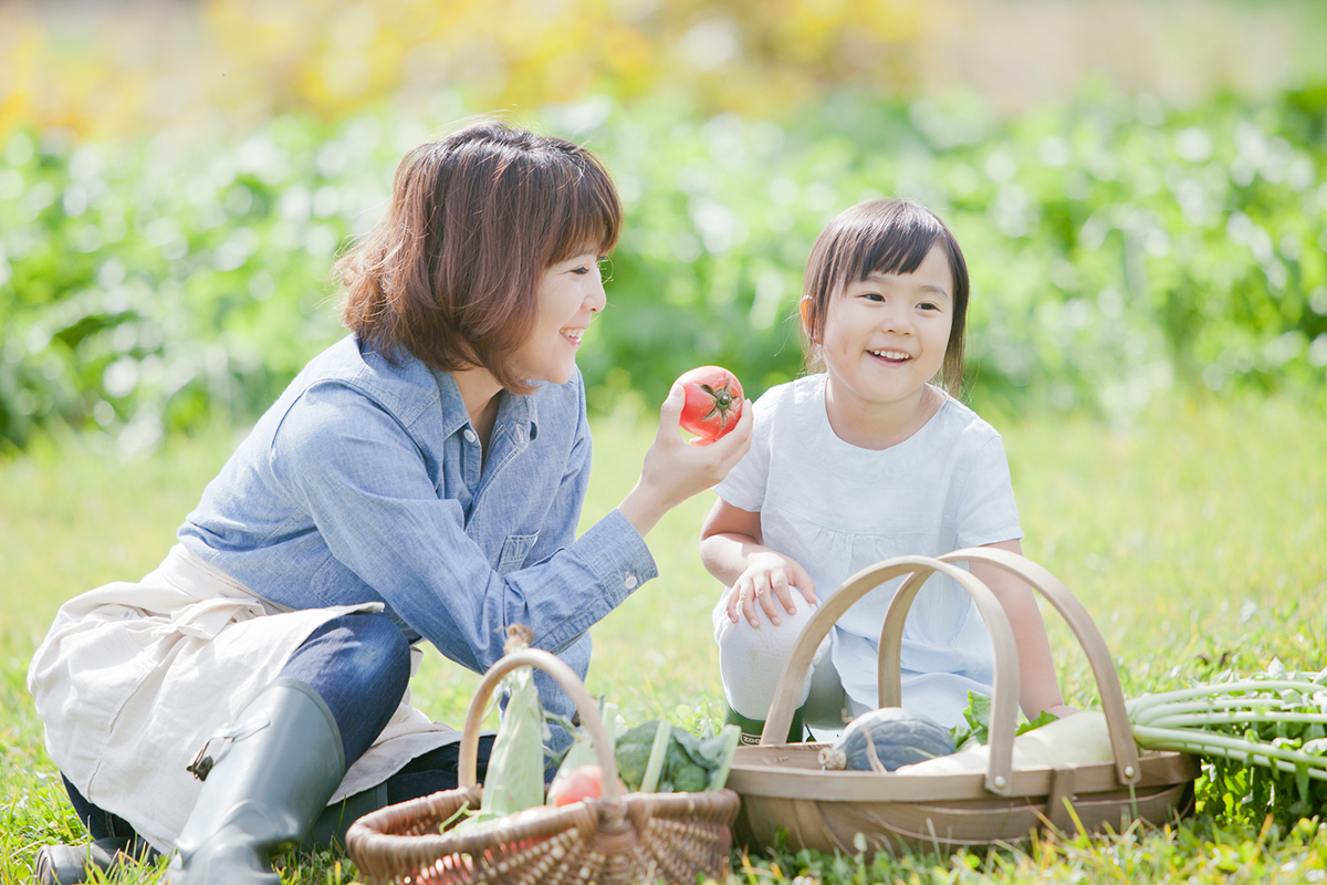 ナメクジの駆除方法は?おすすめの駆除剤や簡単にできる予防方法も紹介!【花壇・室内対応】の画像15