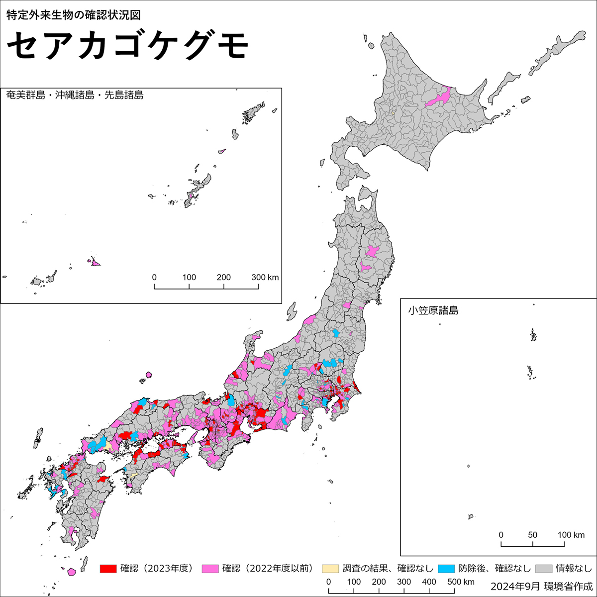家蜘蛛の種類と対処法|安全な蜘蛛と危険な毒蜘蛛の見分け方