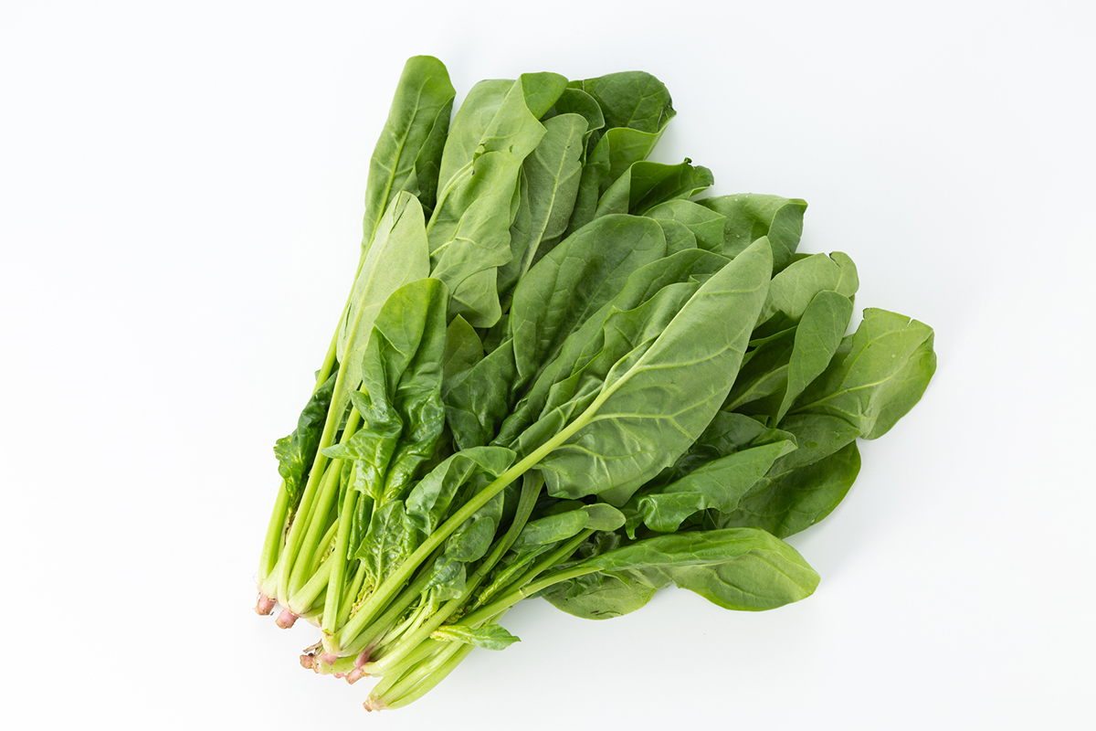 【初心者向け】秋に植えるおすすめの野菜一覧！魅力や上手に育てるコツも紹介の画像08