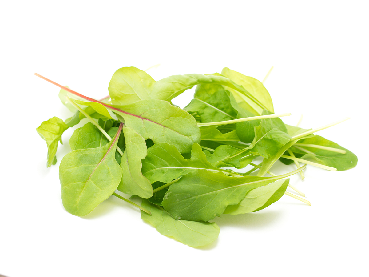 【初心者向け】秋に植えるおすすめの野菜一覧！魅力や上手に育てるコツも紹介の画像11