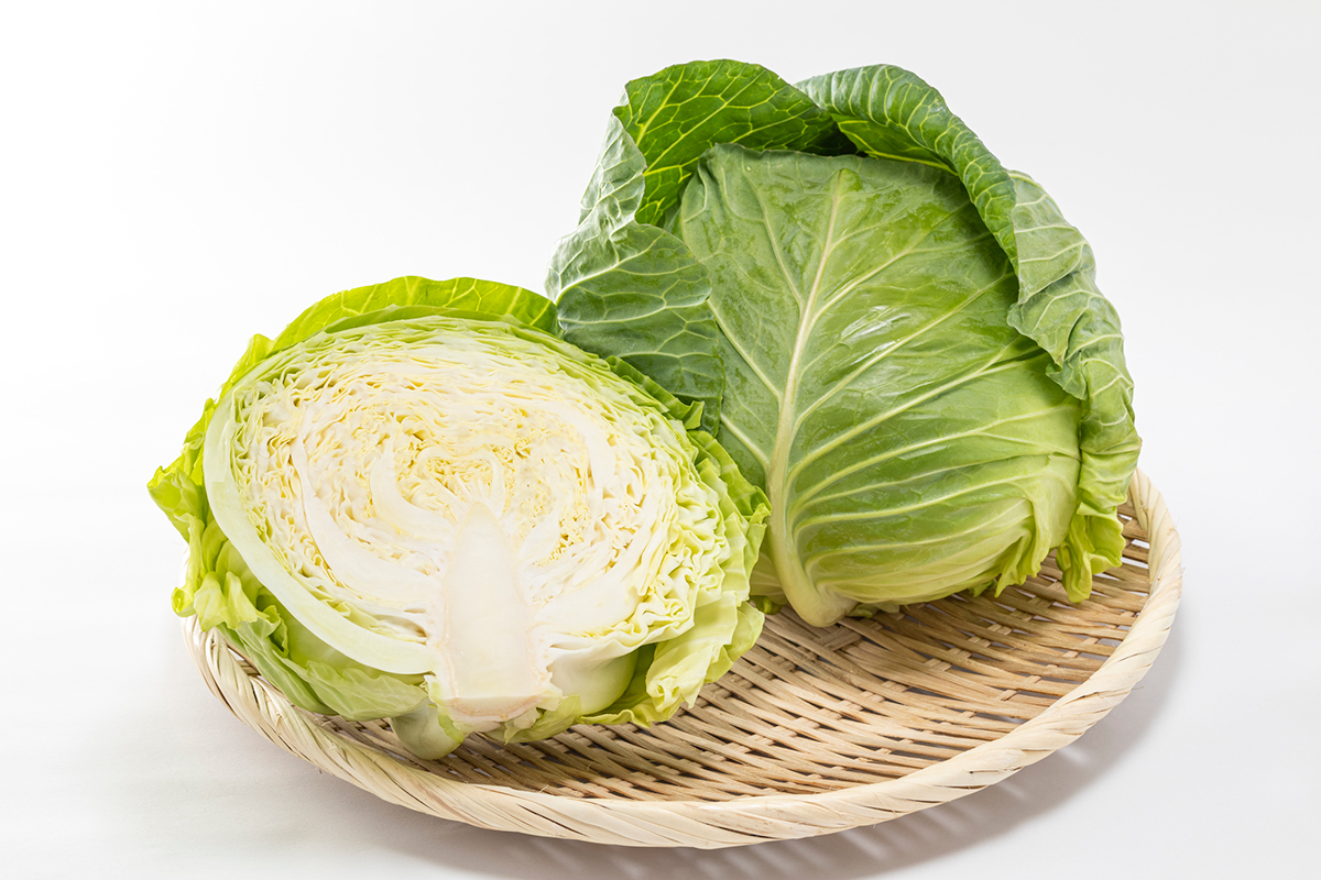 【初心者向け】秋に植えるおすすめの野菜一覧！魅力や上手に育てるコツも紹介の画像13