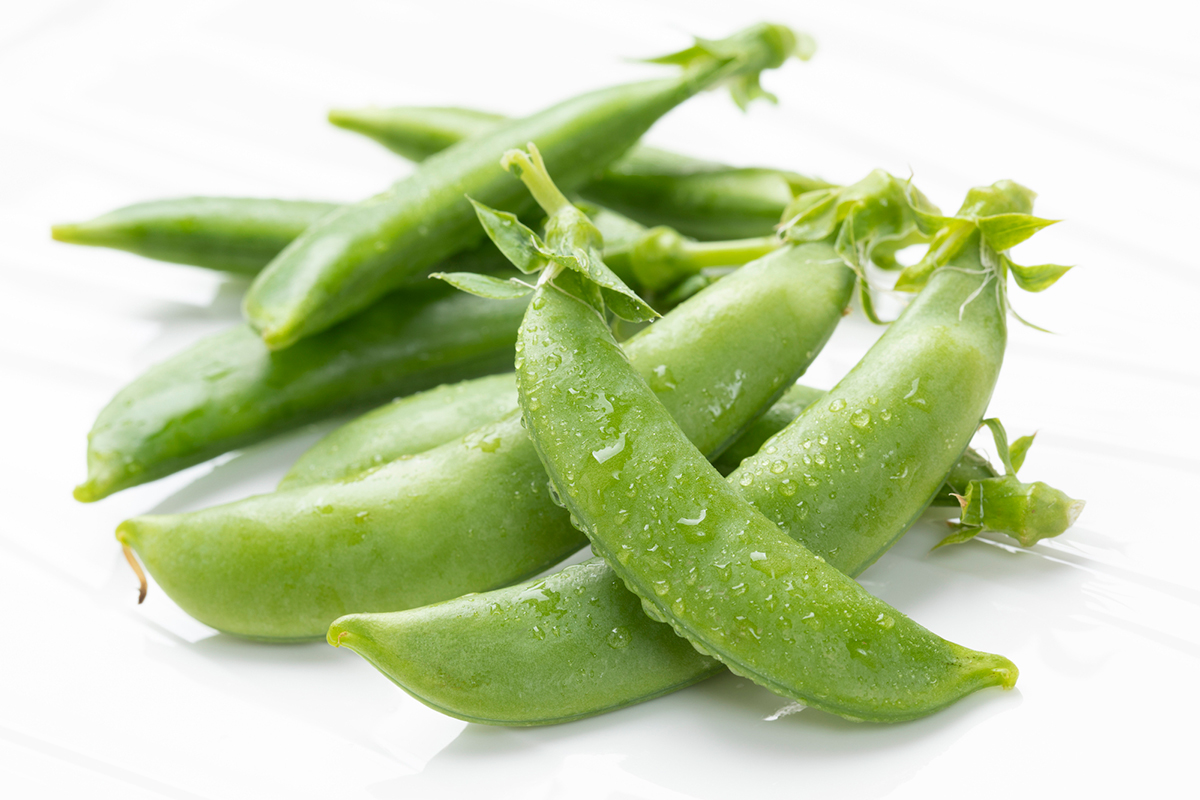 【初心者向け】秋に植えるおすすめの野菜一覧！魅力や上手に育てるコツも紹介の画像16