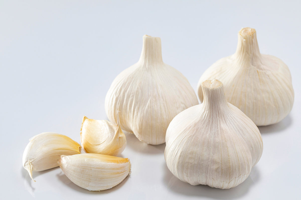 【初心者向け】秋に植えるおすすめの野菜一覧！魅力や上手に育てるコツも紹介の画像18