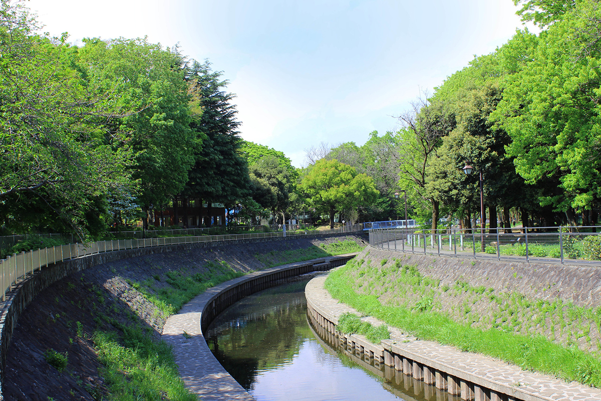荻窪の住みやすさは？住民のリアルな声と家賃・治安データ【2025年版】の画像05