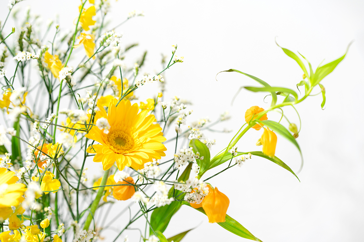 切り花を長持ちさせるには?お手入れの方法と人気の花を紹介【実例あり】の画像04