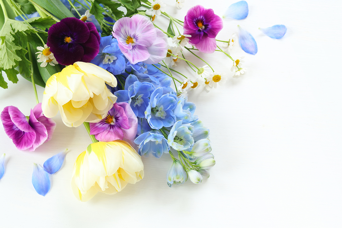 切り花を長持ちさせるには?お手入れの方法と人気の花を紹介【実例あり】の画像07
