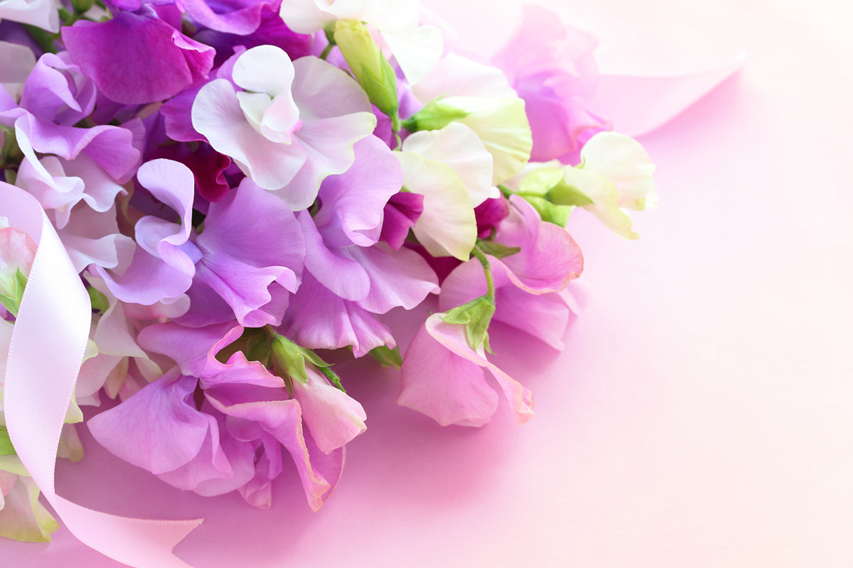 切り花を長持ちさせるには?お手入れの方法と人気の花を紹介【実例あり】の画像11