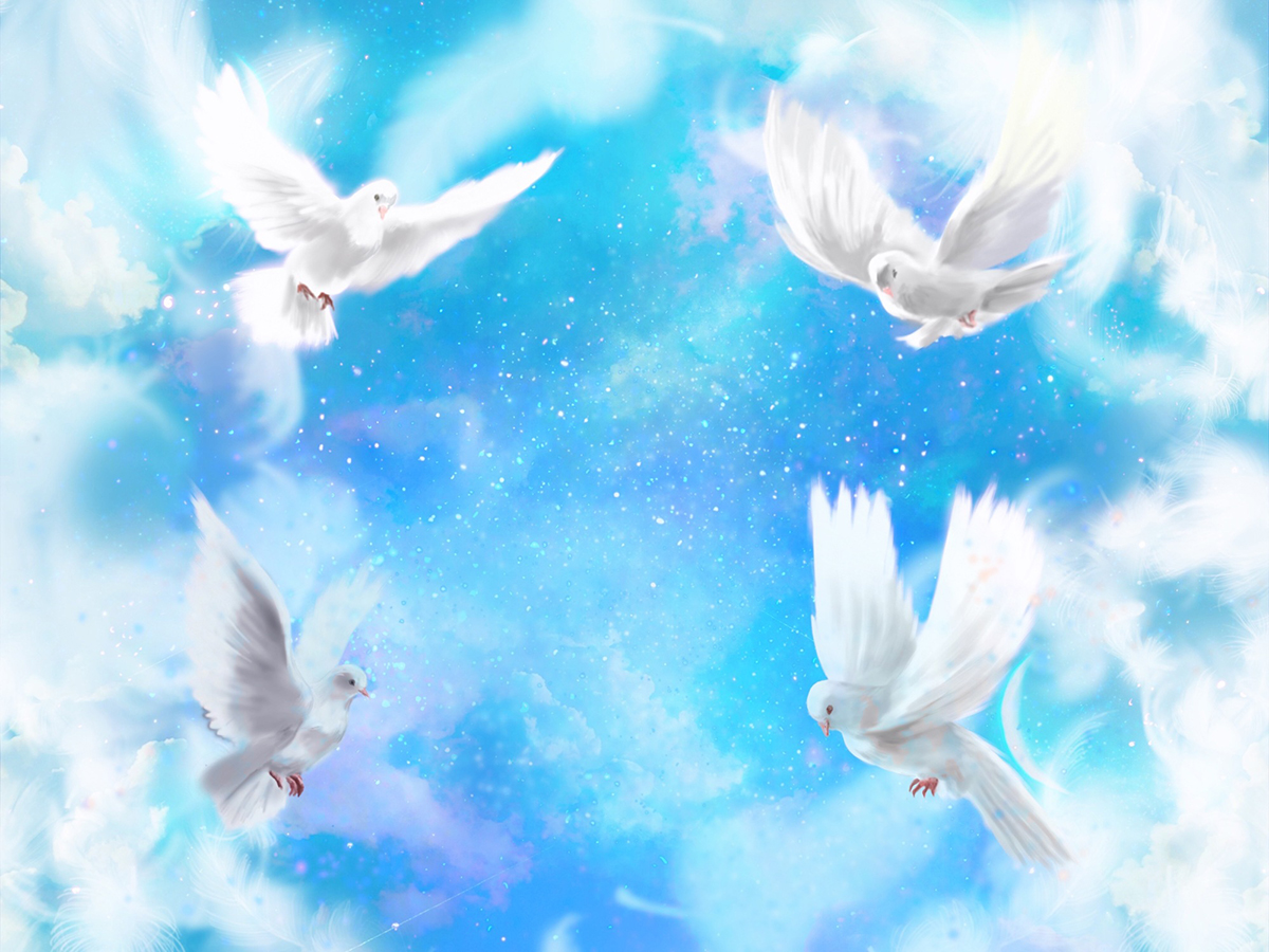 鳩の巣が「しょぼい」のはなぜ?原理や作らせない対策、駆除したいときの対処法も紹介の画像11