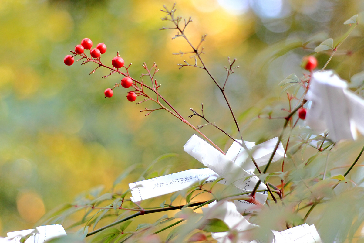 初詣はいつまでに行けばいい？正しい期間から参拝のマナーまで徹底解説の画像04