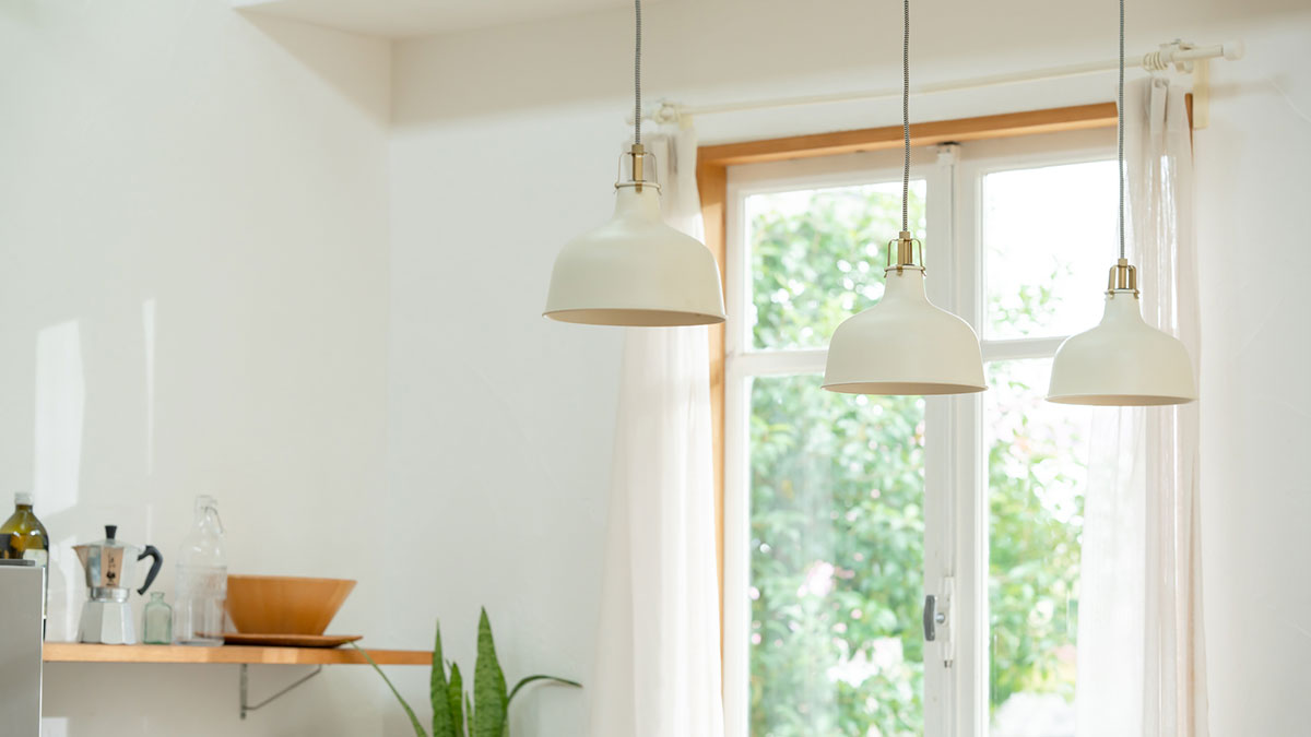 「る」から始まる言葉一覧表|しりとりを徹底攻略の画像05