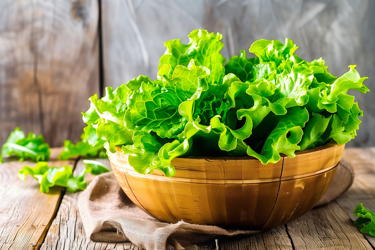 「る」から始まる言葉一覧表|しりとりを徹底攻略の画像14