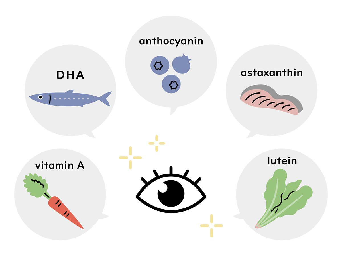 「る」から始まる言葉一覧表|しりとりを徹底攻略の画像20