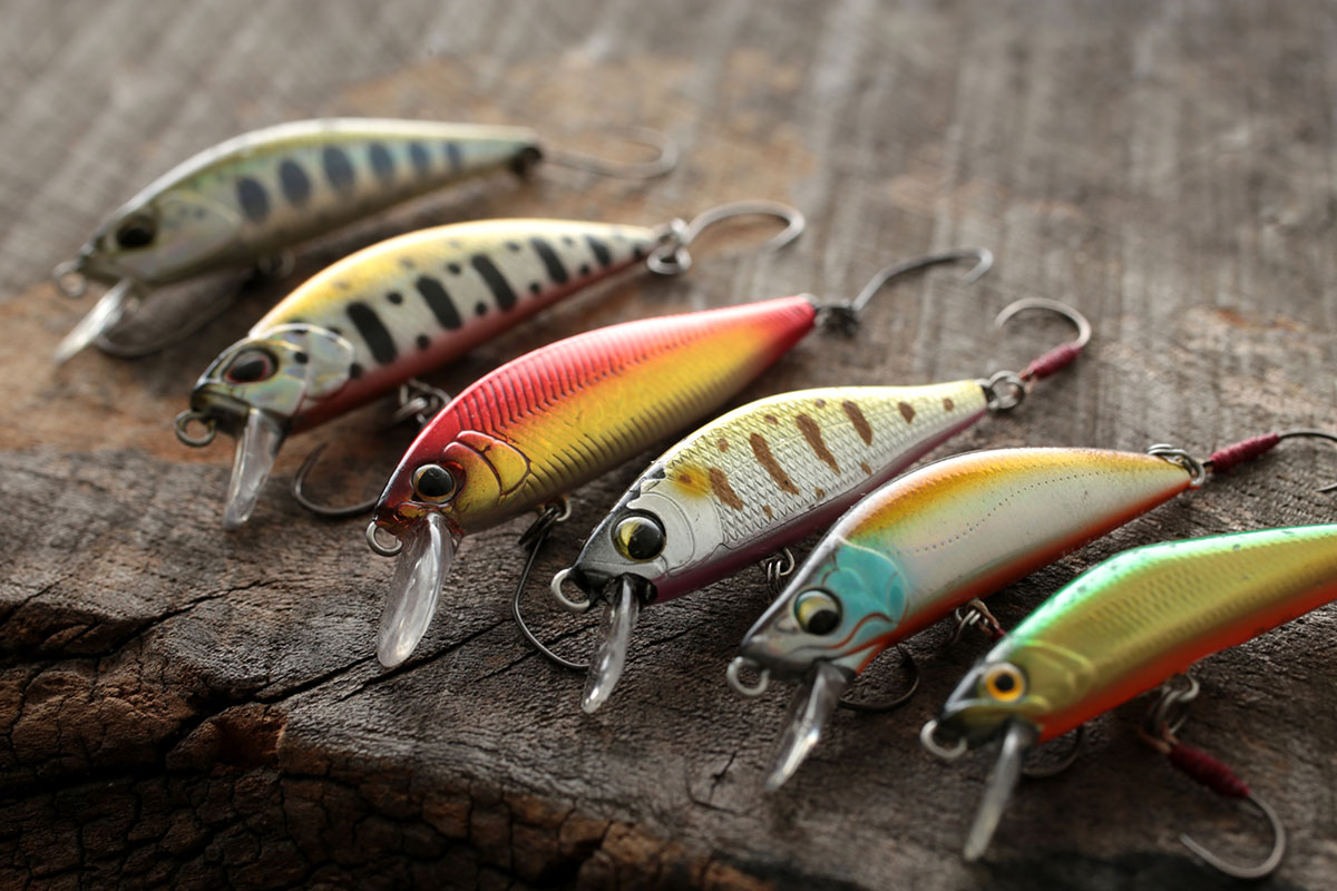 「る」から始まる言葉一覧表|しりとりを徹底攻略の画像44