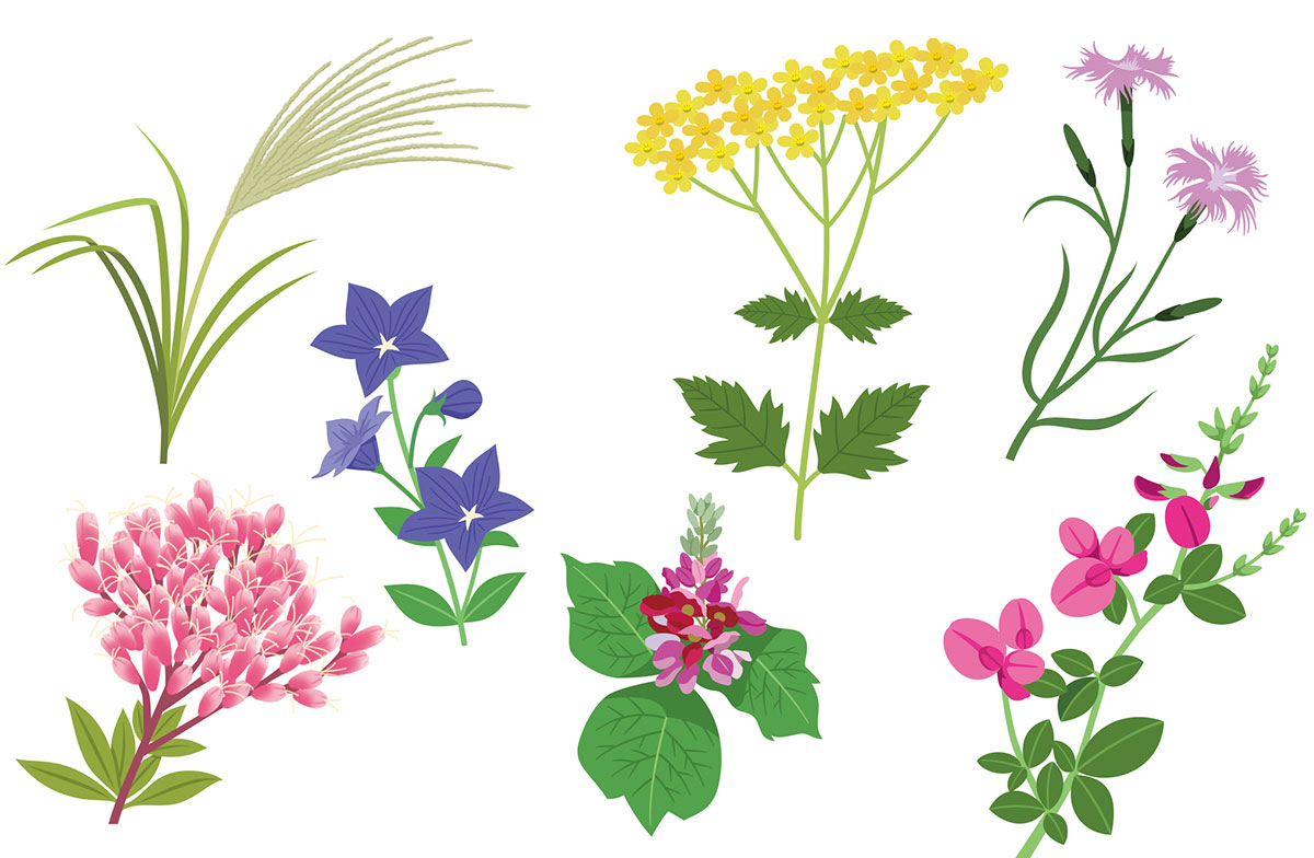 【面白い】難読漢字クイズ一覧100選!動物・食べ物などいくつ答えられる?【脳トレ】の画像04