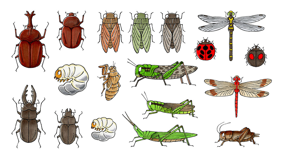 【面白い】難読漢字クイズ一覧100選!動物・食べ物などいくつ答えられる?【脳トレ】の画像07