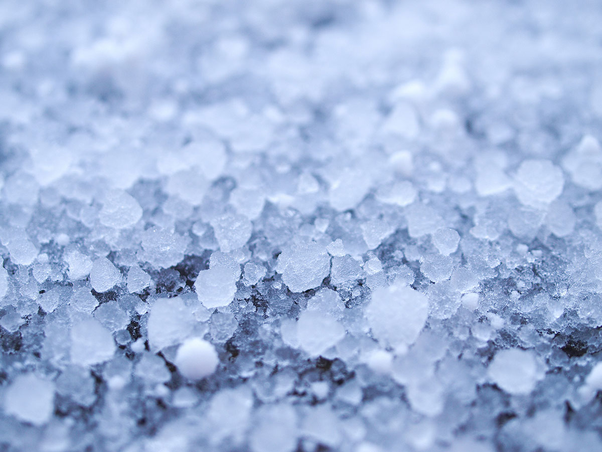 【面白い】難読漢字クイズ一覧100選!動物・食べ物などいくつ答えられる?【脳トレ】の画像10