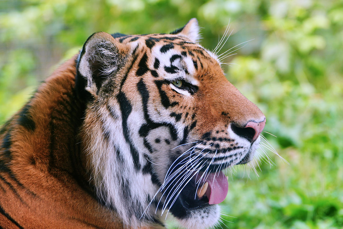 【読めたらスゴイ】難しい漢字一覧まとめの画像07