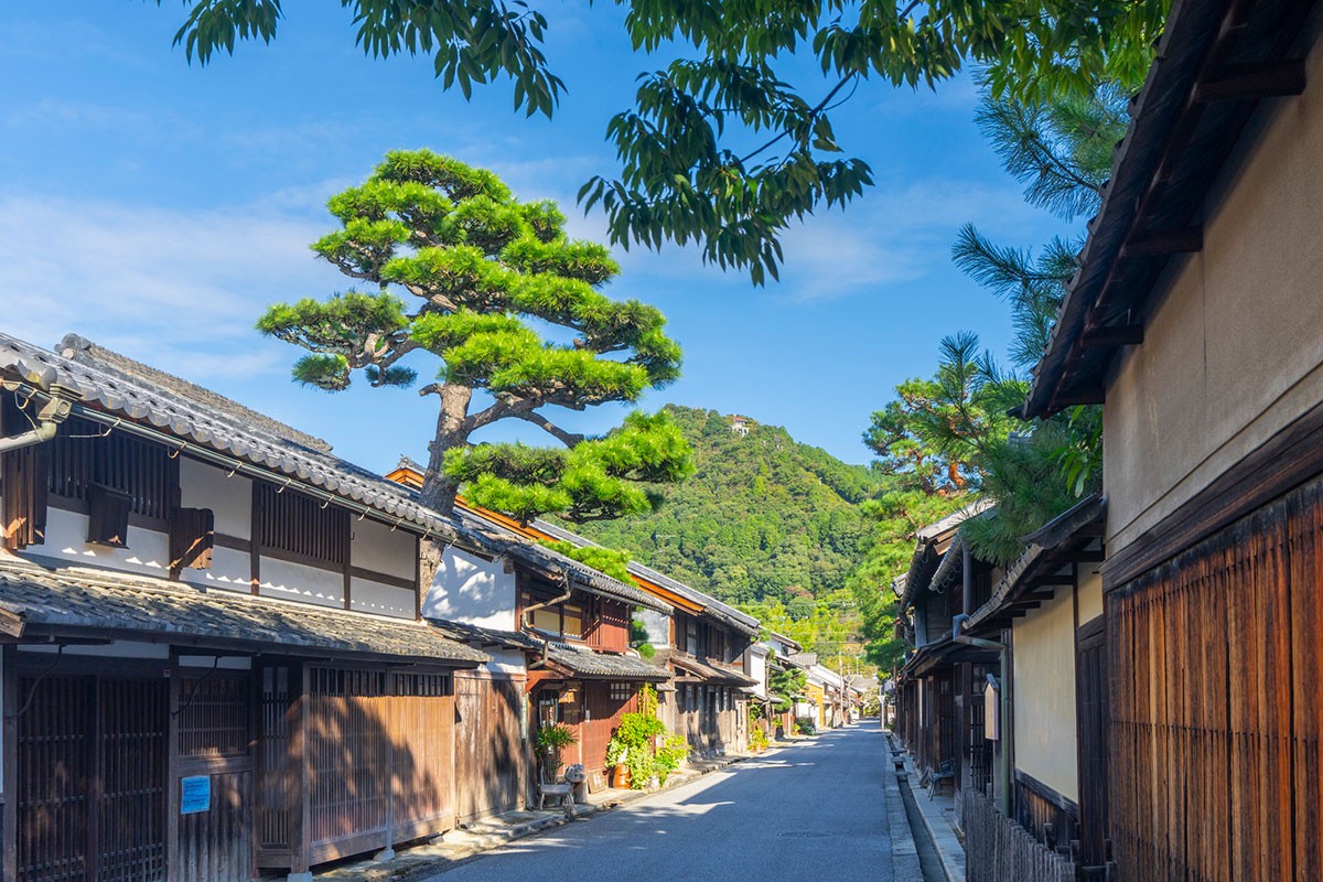 まるばつクイズで盛り上がろう!保育園から大人、高齢者まで楽しめる問題の画像09