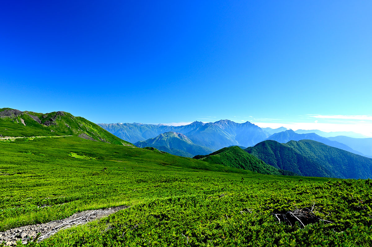 珍しい苗字219選!レアな苗字から難読まで紹介の画像15