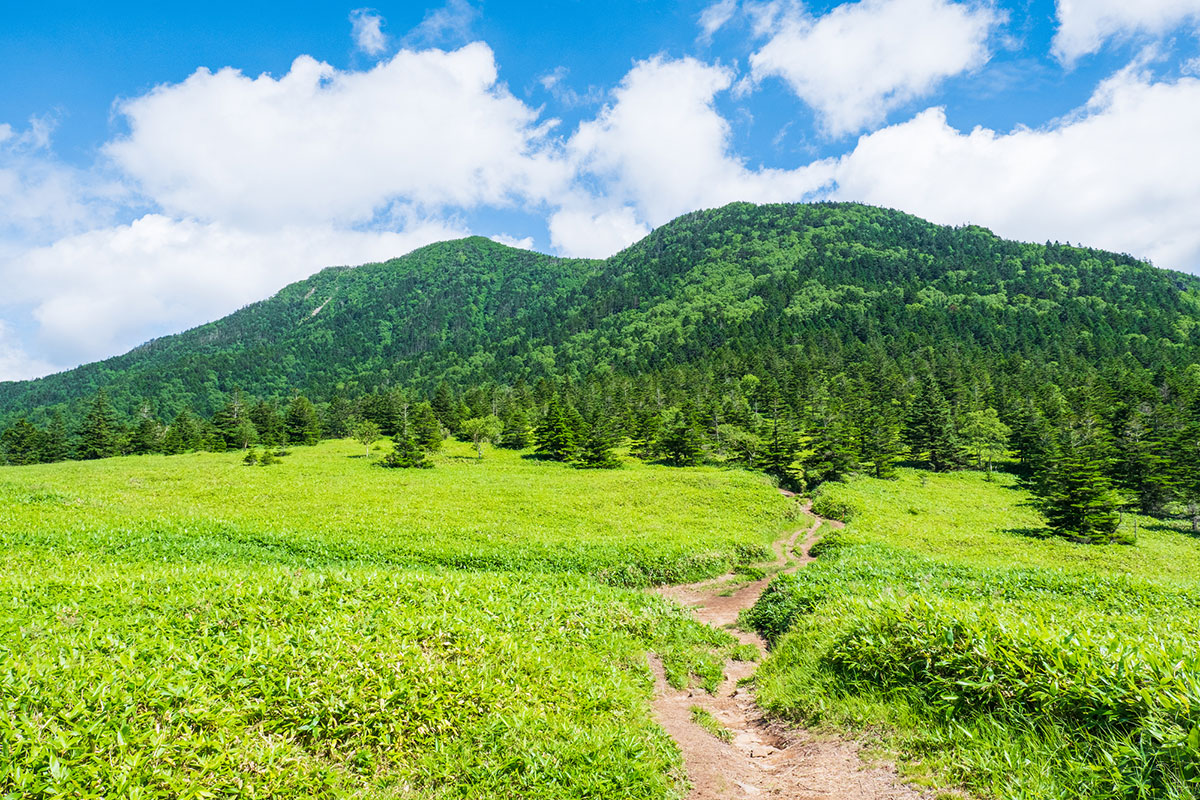 かっこいい苗字315選！創作にも使える？和風な印象から自然関連までの画像12