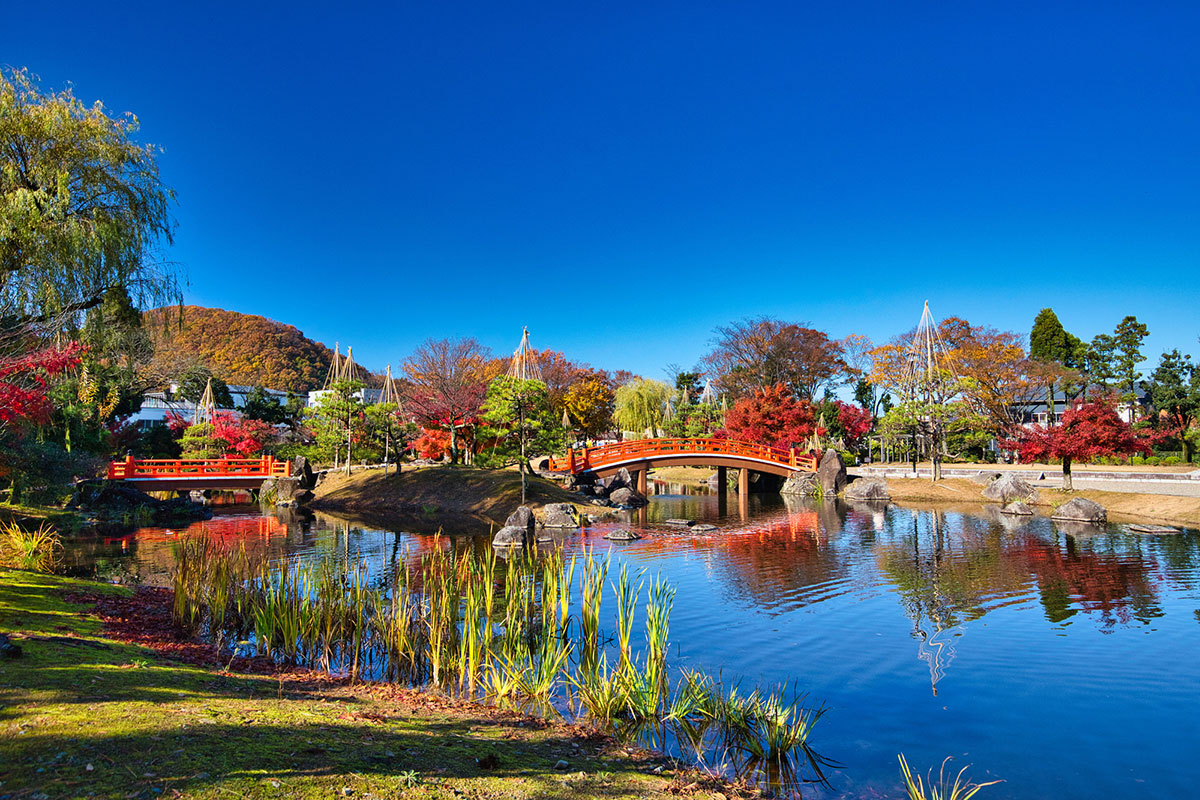 かっこいい苗字315選！創作にも使える？和風な印象から自然関連までの画像13
