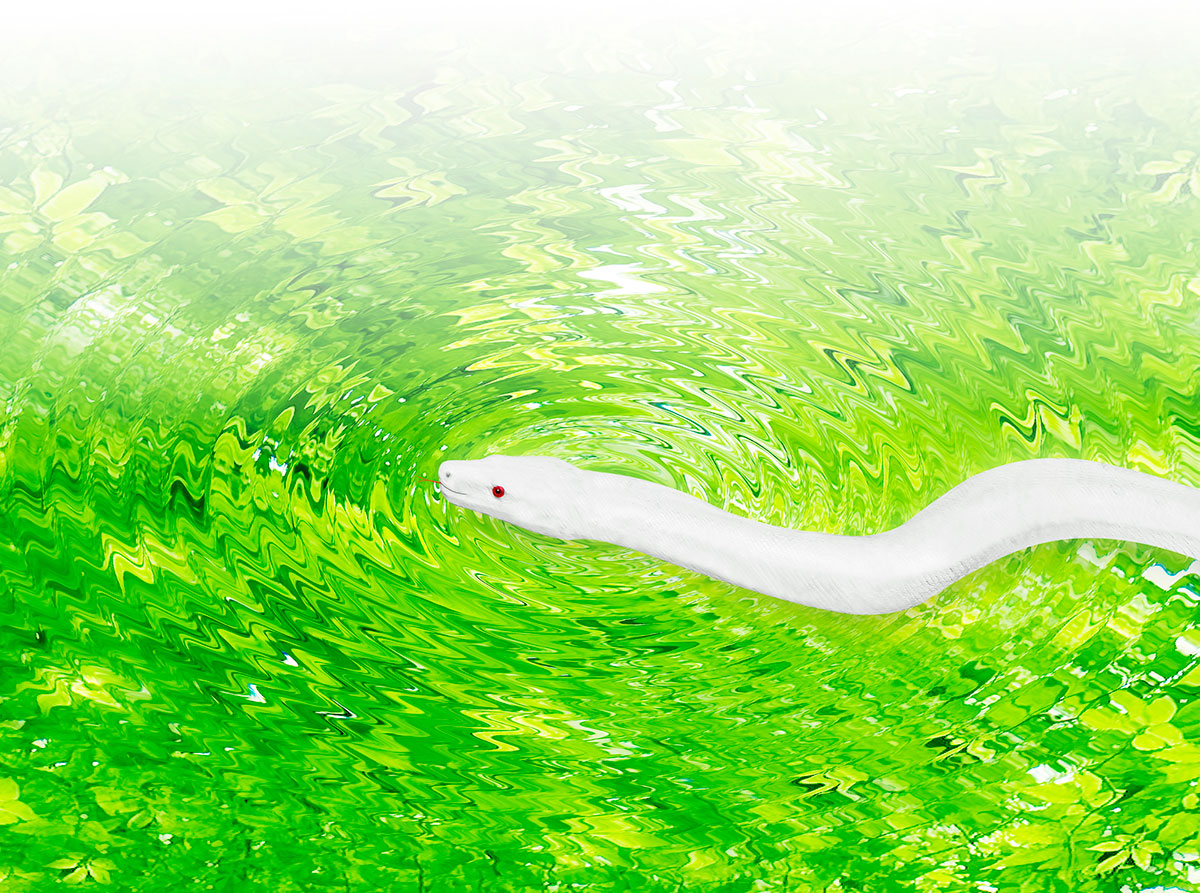 蛇の夢は金運アップや幸運の兆し？大きさ・数・色・感情など状況別に意味を紹介の画像03