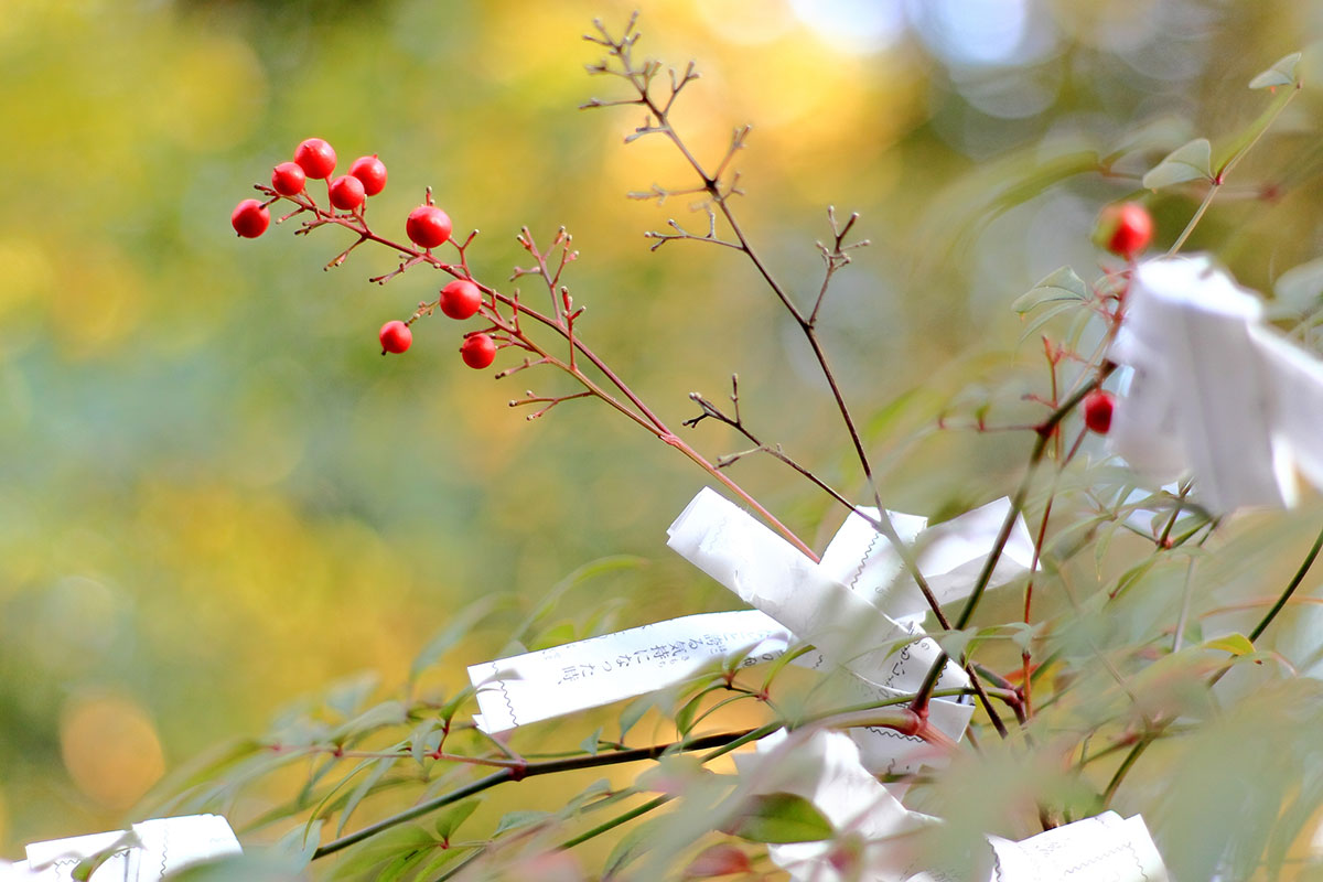 神社のおみくじの順番は？半吉や平など珍しい運勢の意味も解説の画像10