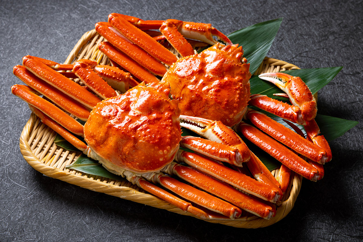 ずから始まる言葉は？絵しりとり・クロスワードで使える134選の画像12