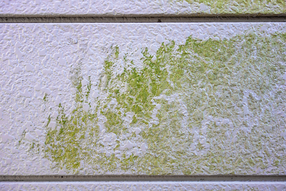 サイディング外壁はDIY塗装できる？手順・費用・失敗を防ぐコツを解説